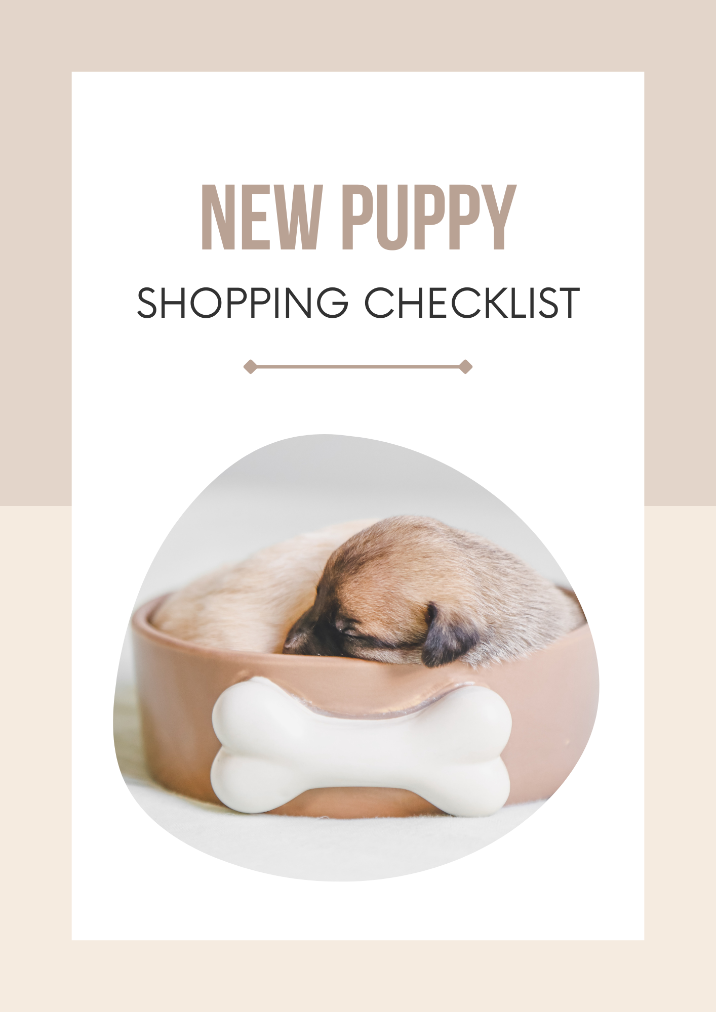 New Puppy Shopping
